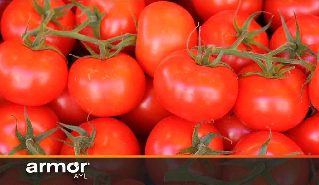 Quién es el empresario mexicano que se convirtió en narco cuando su negocio de tomates fracasó