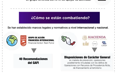 El problema del Lavado de Dinero y Financiamiento al Terrorismo. Una introducción. [Infografía]