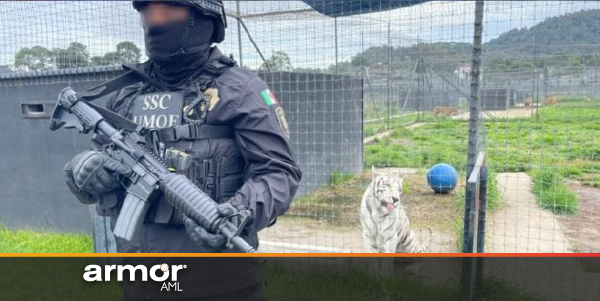 Imputarán por lavado de dinero y tráfico de especies al fundador de Jaguar Negro Tigre Blanco